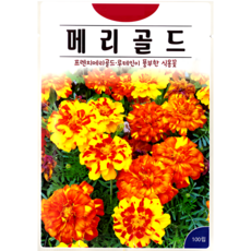 ks 메리골드 씨앗 100립 프렌치 메리골드 식용꽃 꽃 씨 화훼 종자, 1개
