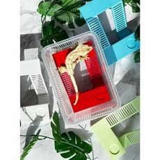 JIF 소롱용 크레스티드게코 사육장 크레은신처 습식 도마뱀집 백업 풀하우스, 옐로우, JIF(소롱)