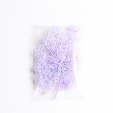 화연양화 프리저브드플라워 아스파라거스 미리오 밍펀 1g, 11 퍼플