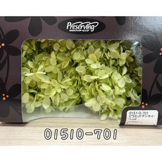 花藝夢*日本大地農園-不凋繡球花-01510金字塔繡球 不凋花 永生花 乾燥花 (以克計價), 701