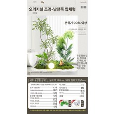 인조화단 세트 가짜 녹색 식물 조형물 카페 마당 테라스 꾸미기 실내조경, B. 남천대나무 조경 세트 C