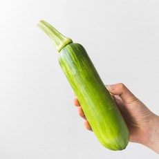국내산 인큐 애호박 특품 부드럽고 담백한 애호박 250g ~ 300g 내외, 1개, 특픔 / 10개