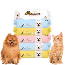 반려동물전용물티슈 도그앤캣 고급 물티슈 색상 랜덤 발송, 100개입, 5개