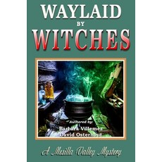 (영문도서)Waylaid by Witches Paperback, Independently Published, English, 9798184362960