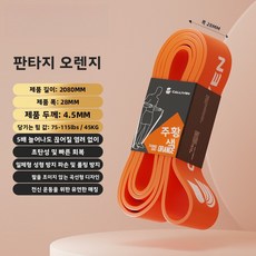 저항 탄력 밴드 근력 운동 요가 풀업 보조 탄력 밴드 저항 밴드, 45KG/115파운드/드림 오렌지[파손 방지, 두껍고