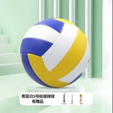 專用訓練排球 標準考試排球 軟排球 國小排球, 1個