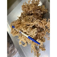 宜蘭名產 珊瑚草 海燕窩 全乾 無鹽, 1個, 一斤/600g