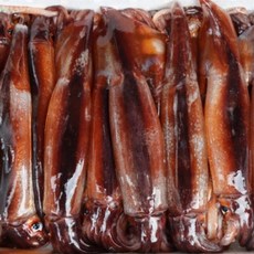 [급냉] 중대사이즈 태안 신진도 통오징어 초코오징어 1kg 2-5미, 1박스, 1Kg 4-6미내외