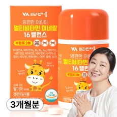 비타민마을 맘편한 무부형제공법 어린이 멀티비타민 미네랄 16밸런스 3개월분, 90정, 1박스