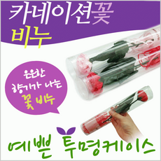카네이션카네이션/카네이션/비누꽃/카네이션/스승의날/카네이션, 카네이션비누꽃(OPP-레드)