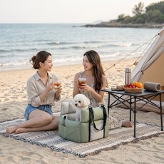 여행용 강아지 자동차 카시트 휴대용 애견 이동가방, 1개, 베이지 그린