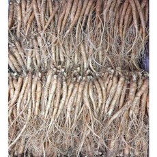 삼계탕용 갈비탕용 작은 실삼계 무료세척 실속형 100뿌리, 잔삼계750g(100-150뿌리), (세척해주세요O), 1개