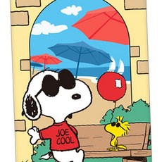 W39 DIY 페인팅 행잉 피너츠 스누피 바캉스 20X30 스누피 diy 페인팅