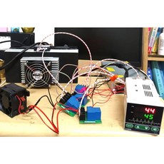 制冷晶片冷熱切換PID溫度控制器含冷風熱風模組與12V30A繼電器套件, 1個, 30A