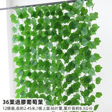 優選樂購 仿真藤條 綠蘿葉裝飾 綠藤藤蔓 假樹葉 塑膠花藤 水管道遮擋 空調遮擋 仿真綠葉花, 36葉過膠葡萄葉12條, 1個