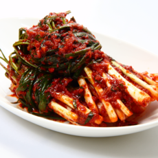 [당일생산][당일출발]신영식품 정담은 알싸하고 맛있는 파김치 1kg (주문즉시생산!), 1개