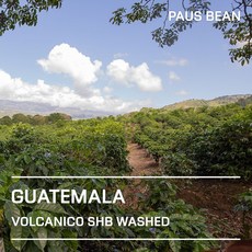 생두대빵 과테말라 볼까니꼬 SHB 워시드 생두, 1개, 500g