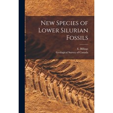 (영문도서) New Species of Lower Silurian Fossils [microform] Paperback, Legare Street Press, English, 9781013772665