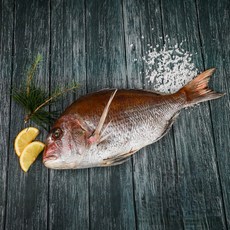 반건조 손질되어 편한 참돔 제사 국내산 여수 참돔 돔 도미 말린생선 손질 제수용생선, 38cm, 1개