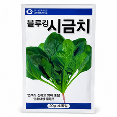 블루킹 시금치 씨앗 40g 소포장 종자 채소씨앗