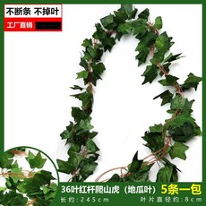 仿真葡萄葉藤蔓爬山虎藤條，常青藤綠蘿植物假綠葉吊頂裝飾，綠植牆壁裝飾, 36葉紅杆爬山虎（地瓜葉）（5條裝）, 1個