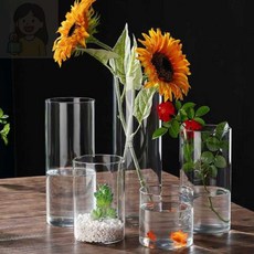 SolSun 유리화병 원통 15x20 인테리어꽃병