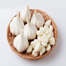 남해군 농협조공 햇 마늘 저장용 김장용 장아찌용 보통급 국산 남도마늘 통마늘, 1박스, 보통급 500g