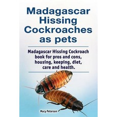 (영문도서) Madagascar hissing cockroaches as pets. Madagascar hissing cockroach book for pros and cons ... Paperback, Zoodoo Publishing, English, 9781788650946