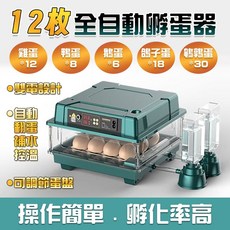 全自動智能孵蛋器 自動翻蛋自動補水自動控溫 雞鴨鵝鴿子孵化機, 美規12枚雙電機【全自動控溫補水】