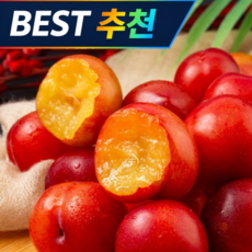 [특품등급] 13brix 프리미엄 대석 자두, 1개, 2kg (중과)