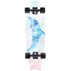 스케이트 보드 입문자 숏 연습용 초보자 짧은, 20