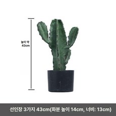중형 인조 선인장 조화 실내 조경 화분 플랜테리어 인테리어, 1개, P. 블랙스파이크 소형 선인장 43cm