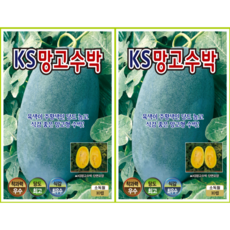 KS망고수박 씨앗 10립 당도 높고 식감 좋은 주황계 망고형 수박 품종 ks, 2개