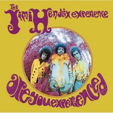아 유 익스피리언스드 Are You Experienced, 1개