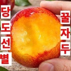 [18brix] 제철 꿀 대석 자두 국내산, 1개, 4kg