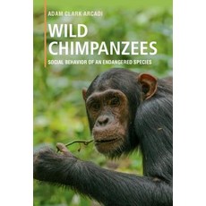 Wild Chimpanzees: Social Behavior of an Endangered Species Paperback, Cambridge University Press, English, 9781316647561