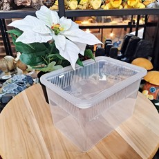 JIF 적재형케이지 소 롱타입 크레스티드게코 도마뱀 크레 베이비 파충류 하우스게코 사육장, 1개