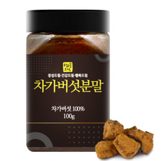 생생드림 차가버섯 분말, 100g, 1개