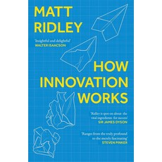 How Innovation Works:Serendipity Energy and the Saving of Time, How Innovation Works, Matt Ridley(저), HarperCollins Publishers
