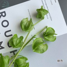 大好屋 永生 盆栽裝飾 手作花材, 燈籠果【綠色】小包/5顆裝