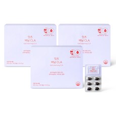 네츄럴굿띵스 잇츠 버닝 CLA 공액리놀레산 감마리놀렌산 다이어트 560mg x 180캡슐, 180정, 3개