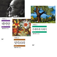 헤르만헤세 대표작 3종 묶음 - 데미안 싯다르타 수레바퀴아래서 (민음사 세계문학)