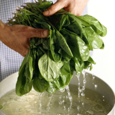 [시금치판매율1위] 재구매율1위향긋한 천연토종 시금치 완판2차판매개시, 1세트, 4kg