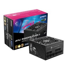 MSI MPG A1000GS II 80PLUS골드 풀모듈러 ATX3.1, 선택하세요