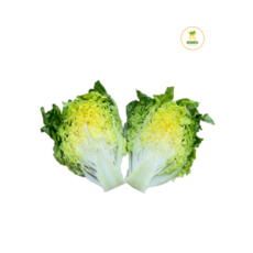 미니로메인 미니코스(500g), 1개