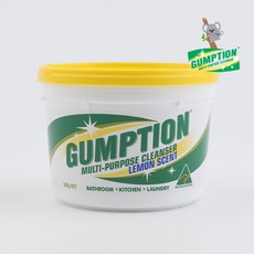 검션 주방욕실찌든때제거 다목적클리너 후드인덕션기름때 스테인레스 탄냄비 세척 싱크대청소 세면대변기물때, 1개, 500ml