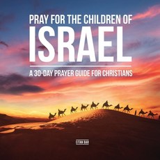 (영문도서) Pray for the Children of Israel: A 30-day Prayer Guide for Christians Paperback, Independently Published, English, 9798859325290