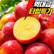 [올해첫수확초특가] 과즙끝판왕 달콤새콤 고당도 후무사자두, 1개, 1kg