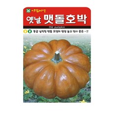 옛날맷돌 호박 씨앗 호박씨 늙은호박 호박씨앗, 3개