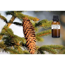挪威雲杉純精油 norway spruce pure essential oil, 1個, 150ml